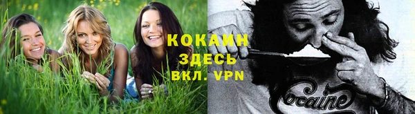 бошки Сатка