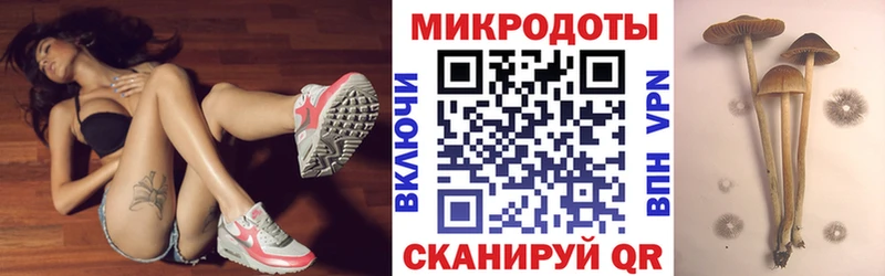 даркнет какой сайт  Красный Холм  Галлюциногенные грибы GOLDEN TEACHER  купить  цена 